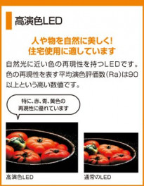 ODELIC OS256044